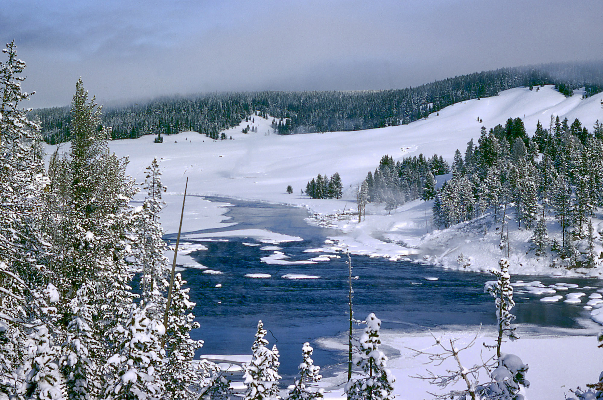Yellowstone in winter